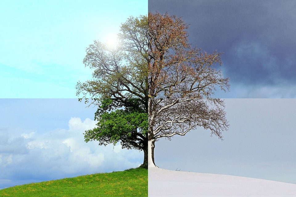 Moods That Change With The Seasons